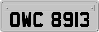 OWC8913