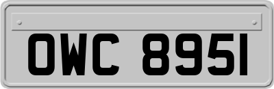 OWC8951