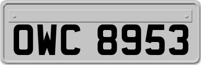 OWC8953