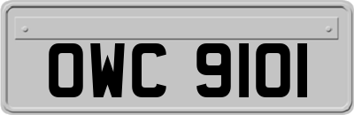 OWC9101