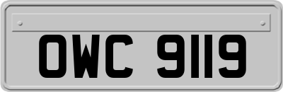 OWC9119