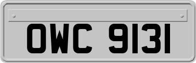 OWC9131