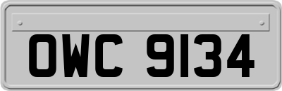 OWC9134