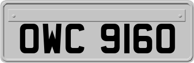 OWC9160