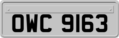 OWC9163