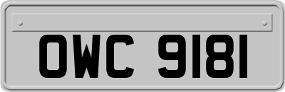 OWC9181