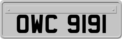 OWC9191