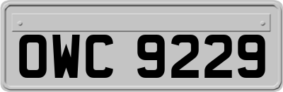 OWC9229