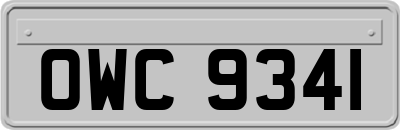 OWC9341