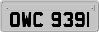 OWC9391
