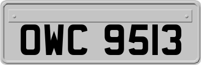OWC9513