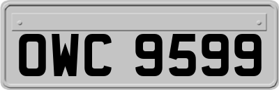 OWC9599