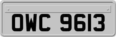 OWC9613