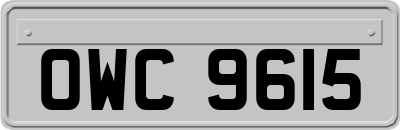 OWC9615