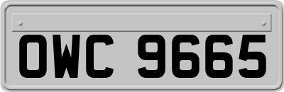 OWC9665