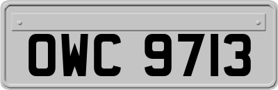 OWC9713