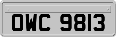OWC9813
