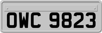 OWC9823