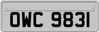 OWC9831