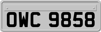 OWC9858