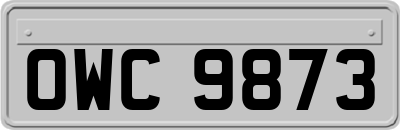 OWC9873