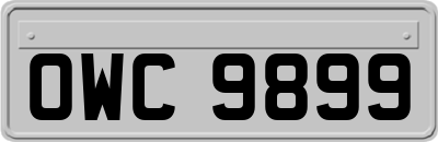 OWC9899