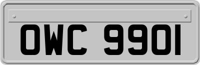 OWC9901