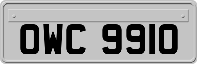 OWC9910