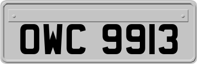 OWC9913