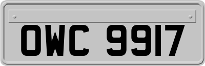 OWC9917