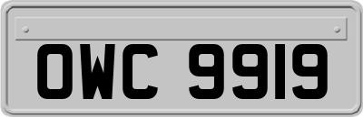OWC9919
