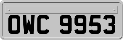 OWC9953