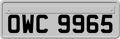 OWC9965
