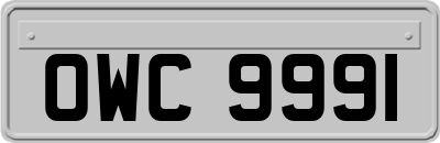 OWC9991