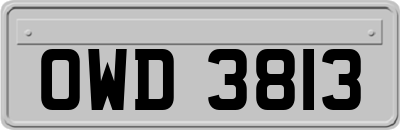 OWD3813
