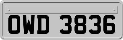 OWD3836