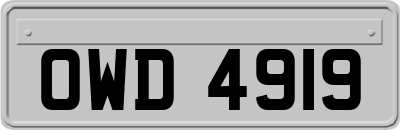 OWD4919