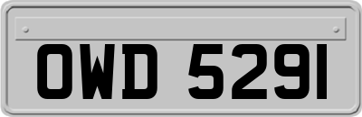 OWD5291
