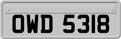OWD5318