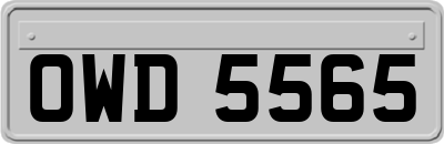 OWD5565
