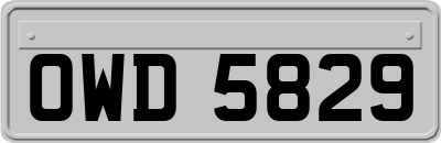 OWD5829