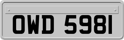 OWD5981