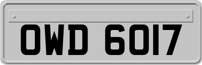 OWD6017