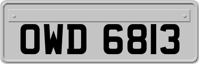OWD6813