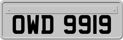 OWD9919