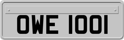 OWE1001