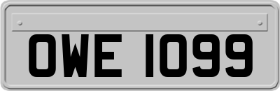 OWE1099