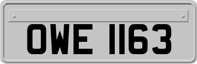 OWE1163