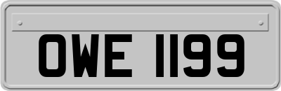 OWE1199