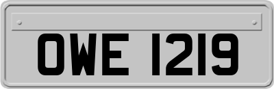 OWE1219